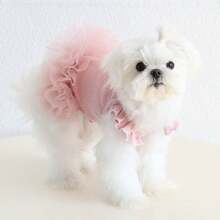 Vestido de princesa con mangas con volantes para perros y gatos pequeños como poodle, bichón frisé, pomerania, maltés, Yorkshire Terrier, etc. Atuendo para fiesta de cumpleaños, primavera/verano