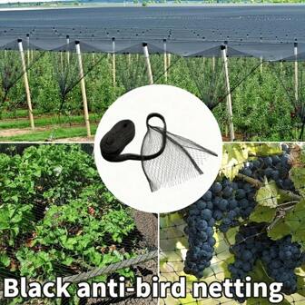 1 pièce Filet anti-oiseaux noir/vert, taille 2 m * 10 m/6,56 pi * 32,8 pi, taille de maille d'environ 1,8 cm/0,71 po, grille carrée de filet pour jardin, protection des semis, plantes, arbres fruitiers, légumes contre les oiseaux, les cerfs et les écureuils