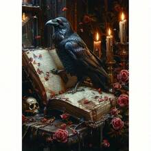 Kit de peinture diamant 5D, raven sombre et livre ancien, ensemble de peinture diamant rond complet, convient aux adultes, peinture décorative adhésive pour la maison, convient aux débutants, décoration murale 11,8*15,7 pouces