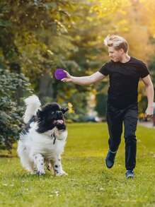 1/3/4 piezas Pelotas de juguete con sonido para perros, juguetes flotantes de TPR suave para piscina, reducen la ansiedad, recoger y traer, limpieza dental, adecuados para mascotas pequeñas/medianas, sin pilas