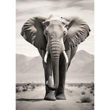1 件/3 件黑白狮子大象大猩猩帆布画墙壁艺术海报和印刷品动物图片用于客厅装饰无框动物画框现代，带画框的墙壁艺术 - 彩色 - 查看 30