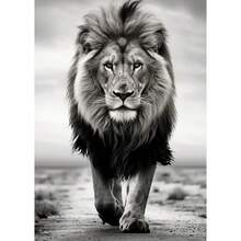 1 件/3 件黑白狮子大象大猩猩帆布画墙壁艺术海报和印刷品动物图片用于客厅装饰无框动物画框现代，带画框的墙壁艺术 - 彩色 - 查看 36