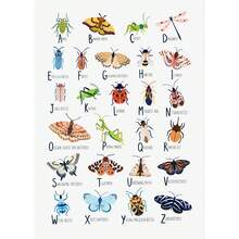 1幅甲虫、蛾、蜻蜓和蝴蝶昆虫海报印刷动物儿童房帆布墙艺术画家居房间装饰套装，可选画框，带框墙画 - 彩色 - 查看 14