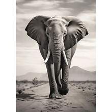 1 件/3 件黑白狮子大象大猩猩帆布画墙壁艺术海报和印刷品动物图片用于客厅装饰无框动物画框现代，带画框的墙壁艺术 - 彩色 - 查看 15