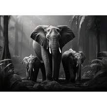 1 件/3 件黑白狮子大象大猩猩帆布画墙壁艺术海报和印刷品动物图片用于客厅装饰无框动物画框现代，带画框的墙壁艺术 - 彩色 - 查看 19