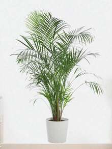 قطعة واحدة ملصق حائط نباتي أخضر اصطناعي واقعي - ديكور ورق لاصق كبير للغرفة المعيشية والمدخل والمنزل والمكتب - مثالي لتزيين المنزل والزفاف والكريسماس (للمالكين والمستأجرين) - أخضر - مشاهدة 6