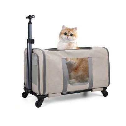 UBRAVOO Katzen Trolley für 2 Katzen – Katze Transportbox groß mit Rollen für 2 Tiere – Transporttasche mit Rollen & Sicherheitsgurten für Reisen, Tierarzt & Camping