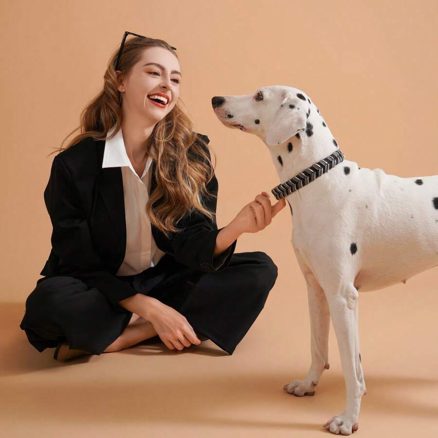 1pc Handmade Colorblock PVC Adjustable Waterproof Dirt-Resistant Pet Collar, Retro Luxury Style Dog Leash Collar - Black - View 1