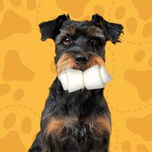 3 Hueso de Carnaza Natural para perro - Blanco - Ver 2