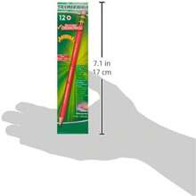 ® Erasable Checking Pencils, Presharpened, Carmine Red, Pack Of 12