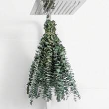 10/20/30/40 pièces Eucalyptus préservé pour la douche, tiges d'eucalyptus fraîches suspendues, feuilles et branches d'eucalyptus pour remplissage de vase, salle de bain, mariage, arrangement de fleurs séchées et décoration de boîte-cadeau