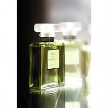 Chanel No.19 Poudre Eau De Parfum Spray 3.4oz/100ml Elegant Feminine Scent Perfect Gift For Women, Girlfriend, Mother, Suitable For Special Occassions Such As Dating, Valentine's Day, Party Events And Holidays - 無色 - 查看 1