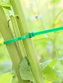 100pcs A Set Of,Gardening Strapping,Zip Ties, Plastic Winding, Plant-Fixing, Portable Gardening Cables, Gardening And Lawn Care