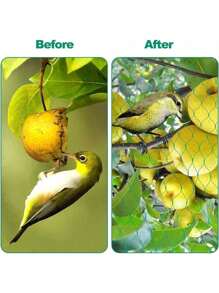 1 Pc Bird Protection Net, Garden Plant Mesh, Protecting Plants And Fruit Trees From Birds, Deer, Poultry, Best Fencing Anti-Bird Net Garden Net Orchard Anti-Bird Net Polyethylene Anti-Bird Net Extrusion Anti-Bird Net Grape Anti-Green Anti-Bird Net