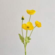 5朵/1束多色人造丝罂粟花，仿真罂粟花束，适用于婚礼、节日派对、室内/室外、花瓶、桌面、办公室装饰、节日和毕业礼物 - 彩色 - 查看 11