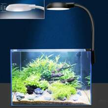 1pc Mini LED Aquarium Clip Light, USB Powered, High Brightness, Transparent, Adjustable 360° Rotation, Suitable For Fish Tanks - Compact Desk Lighting For Aquatic Plants