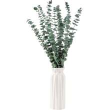 10/20/30/40 pièces Eucalyptus préservé pour la douche, tiges d'eucalyptus fraîches suspendues, feuilles et branches d'eucalyptus pour remplissage de vase, salle de bain, mariage, arrangement de fleurs séchées et décoration de boîte-cadeau