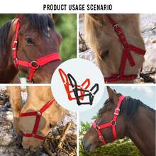 1 pieza Cabezada ajustable para caballos, Cabezada de arnés de cinta de polipropileno de 2,5 cm de ancho, Adecuada para diversos escenarios de entrenamiento y equitación, Esencial para la equitación al aire libre - Multicolor - Ver 7