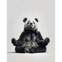 Áp phích thiền động vật đen trắng, gấu trúc lười, gấu túi, tranh in trên vải, tranh treo tường, trang trí phòng khách, quà tặng, khung tùy chọn - Nhiều màu - Xem 16