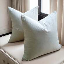18/20/21/14x21 英寸白色羽绒抱枕芯，柔软蓬松，沙发/床垫，防下陷快速回弹，低异味 - 白色 - 查看 21