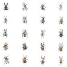 50 张甲虫透明贴纸，可爱卡通昆虫美学防水乙烯基贴花贴纸，适用于水瓶、笔记本电脑、手机、滑板、吉他、行李箱、剪贴簿、头盔、儿童、青少年、成人派对装饰礼物