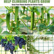 Nylon Garden Climbing Net, Suitable For Cucumbers, Vines, Fruits, Vegetables, Tomatoes And Other Climbing Vines - Green - View 4