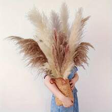 23pcs Natural Dried Pampas Grass Bouquet - Boho Style Decorative Swags For Home, Wedding, Events - Perfect For Christmas, Mother's Day, Graduation, 4th Of July Celebrations,Fall Decor,Autumn