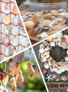 1000g/500g-Natural Shell And Conch Decoration, Natural Sea Scallops, Mixed Starfish And Sea Scallops, Various-Sized Sea Scallop Decoration, Beach-Themed Parties, DIY Handicrafts, Fish Tank Filling, Home Decoration, Wedding Decoration