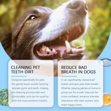 Gel reparador oral para mascotas que elimina el mal aliento y el sarro. Cuidado refrescante para los dientes de mascotas. Bolígrafo para limpieza dental de mascota