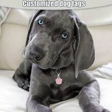 Custom Dog Tags Pendant, Personalised Cat Dog Puppy Pet ID Name Pendants, Collar Tag Pendant Pet Accessories Cat's Paw Shape Pendant, Prevention Of Accidental Loss Perfect Gift For Your Pet - Multicolor - View 8