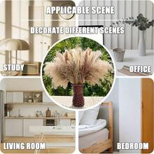 100 件蒲苇波西米亚风家居装饰 17 英寸天然干花 - 蒲苇包含兔尾巴白色蒲苇棕色蒲苇。波西米亚风装饰适用于农舍婚礼波西米亚风墙壁浴室办公室厨房……