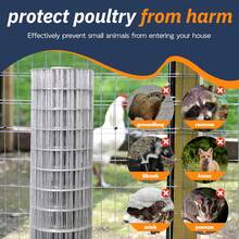 Welded Wire 2X3 Inch Mesh 36 Inch X 50 Foot 16 Gauge Galvanized Steel Wire Fence Ideal For Animal Enclosures, Cage Wire, Property Protection, Garden Fence, Rabbit Fence, And Utility Fence - 白色 - 查看 4