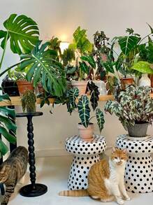 Modern Solid Wood Side Table – Nordic Minimalist Round Corner Table, Black & Walnut Finish, Vintage Multi-Functional Accent Table For Sofa, Bedside, Coffee Corner, Small Spaces, Ramadan Gifts & Home Decor