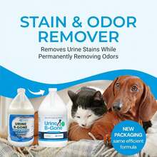 KINZUA  Urine B-Gone, Professional Enzyme Odor Eliminator & Pet Stain Remover, Human, Cat & Dog Urine Cleaner, Effective On Laundry, Carpets & More, Original Scent, 1 Gallon - Lavender - View 2