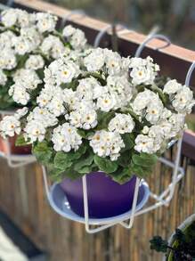 1/3 Stücke künstliche Geranie, Outdoor-Seidenblumen, künstlicher Geranie-Busch, Faux-Blumen, Geranien für die Blumendekoration zu Hause, Innen-, Garten-, Terrassen-, Grab-, Friedhofs-, Vasen-, Tischzentrumsgestecke