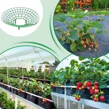 Strawberry Stands With 3 Sturdy Legs, Growing Racks, Protector Frame, Cage Holder, Mold, Rot Dirt, 5pcs 10Pcs
