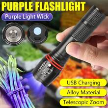 [UV LED Flashlight] Zoom In & Out Alloy Body ▎3 Brightness Modes + USB Charging Life Waterproof Crime Scene/Currency/Pet Urine Detection Multifunctional Tool