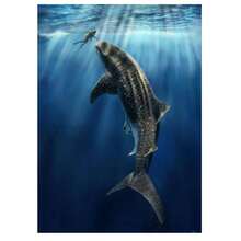 1 Pc Optional Frame Posters Wall Arts Classical Vintage Giant Creatures In The Ocean Canvas Painting Wall Decor Manta Ray Turtle Whale Shark Art Poster Print Picture ﻿