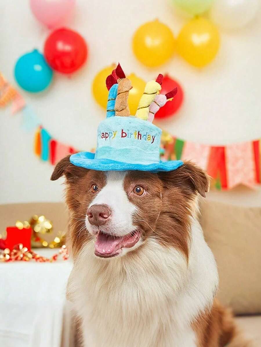 2pcs/Set Pet Birthday Party Decoration Set, Birthday Hat + Cake Toy Dual-Use, Suitable For Cats & Dogs, Ins Style Birthday Photo Props