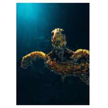 1 Pc Optional Frame Posters Wall Arts Classical Vintage Giant Creatures In The Ocean Canvas Painting Wall Decor Manta Ray Turtle Whale Shark Art Poster Print Picture ﻿