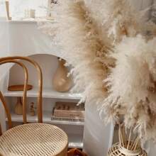 23pcs Natural Dried Pampas Grass Bouquet - Boho Style Decorative Swags For Home, Wedding, Events - Perfect For Christmas, Mother's Day, Graduation, 4th Of July Celebrations,Fall Decor,Autumn