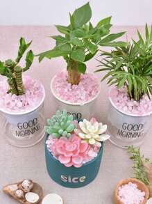 Frammenti di cristallo di quarzo rosa naturale - Ciottoli decorativi per acquari, contenitori di vetro, giardini Zen e giardini delle fiabe - Tonalità rosa tenui per decorazioni di paesaggi estetici, decorazioni per cortile esterno