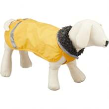 Pet Costumes