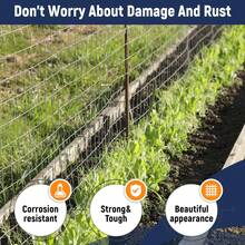 Welded Wire 2X3 Inch Mesh 36 Inch X 50 Foot 16 Gauge Galvanized Steel Wire Fence Ideal For Animal Enclosures, Cage Wire, Property Protection, Garden Fence, Rabbit Fence, And Utility Fence - 白色 - 查看 6