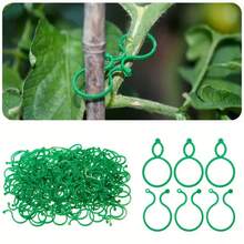100 piezas Ganchos para plantas trepadoras, ganchos para soporte de plantas de jardín, ganchos para cultivo de patatas, ganchos para asegurar plantas