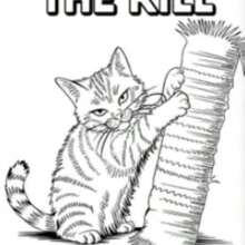 Interesting Cats Coloring Book For Cat Lovers: Beautiful Patterns, Clear Lines, Help Relieve Stress And Mood, Ideal Gift For Family Gatherings, Easter, Thanksgiving, Christmas, New Year, Valentine's Day And Home Decoration,Back To School,School Supplies