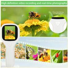 儿童袖珍显微镜玩具，4 倍变焦手持放大镜，带微距定焦和 3 级 LED 照明，用于照片/视频录制的数码显微镜，互动自然探索套件，适合 3-12 岁男孩和女孩 - 彩色 - 查看 4