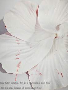 2个/套 红白芙蓉花发夹，甜美百搭，可固定刘海或侧边，时尚优雅，爪夹设计，适合日常装饰、搭配服装、约会、海滩、摄影等场合，也可作为发夹、发卡、学生用品、度假装扮、发饰，展现新年魅力。