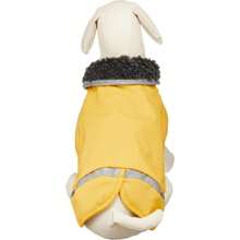 Pet Costumes
