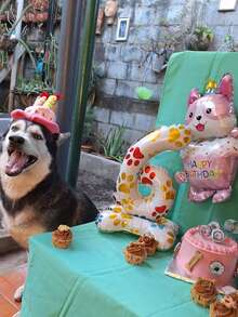 2pcs/Set Pet Birthday Party Decoration Set, Birthday Hat + Cake Toy Dual-Use, Suitable For Cats & Dogs, Ins Style Birthday Photo Props - Multicolor - View 3